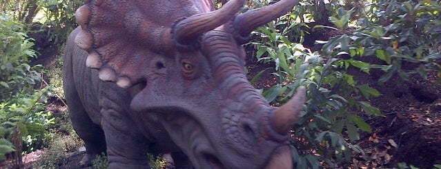 Dinosaur Safari at Bronx Zoo is one of Things To Do In NYC.