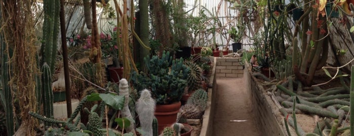 Moorten Botanical Garden is one of À faire à Palm Springs.