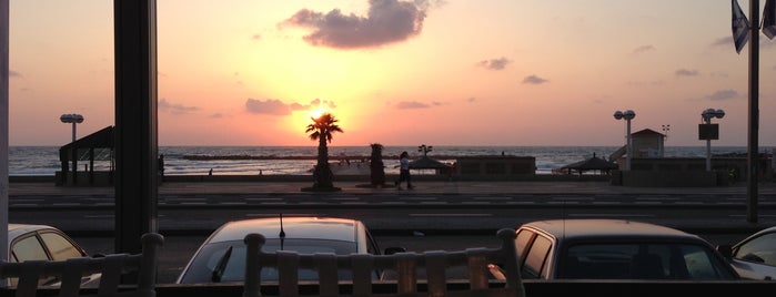 Armando is one of My Tel Aviv ❤️.