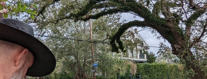 Garden District Walking Tour is one of New Orleans to see.