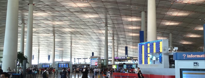 Beijing Capital International Airport (PEK) is one of martín’s Liked Places.