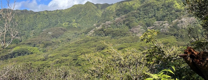 Pu'u Pia Trail is one of oahu.