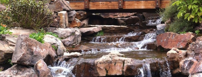 Vail Nature Center is one of Colorado to do list.