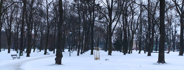 Park Gustawa Manitiusa is one of Poznan #4sqcity by Luc.