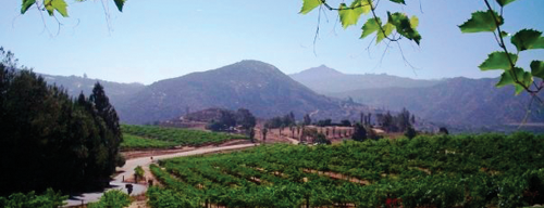 San Diego Beer and Wine Tours is one of Lori'nin Beğendiği Mekanlar.