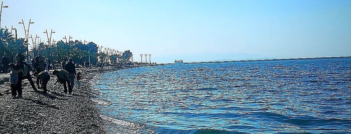 Sahilevleri Sahili is one of İzmir 4.
