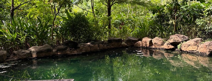 The Banjaran Hotsprings Retreat is one of A must go food and attraction.