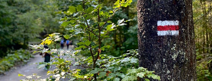 Dolina Strążyska is one of Polska Chce Być.