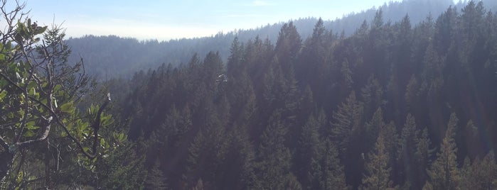 Red Tail Scenic Overlook is one of MLO’s Liked Places.