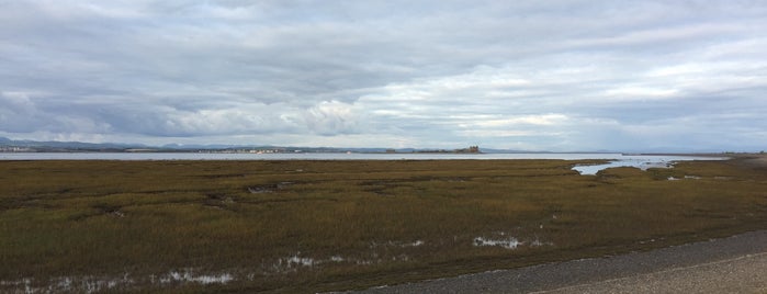 South Walney Nature Reserve is one of Explore nature.