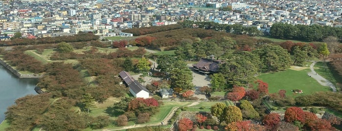Goryokaku is one of สถานที่ที่บันทึกไว้ของ Rachel.