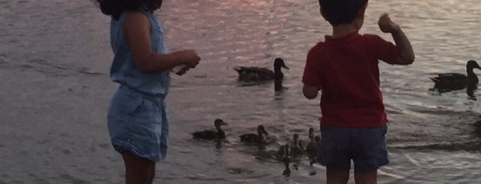 The Crossings of Colonie is one of Parks.