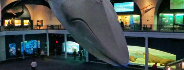 Blue Whale is one of New York Eats/Drinks/Shopping.