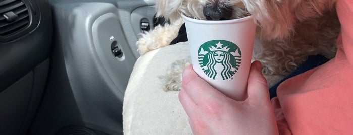 Starbucks is one of The 7 Best Places for Pretzels in Fresno.