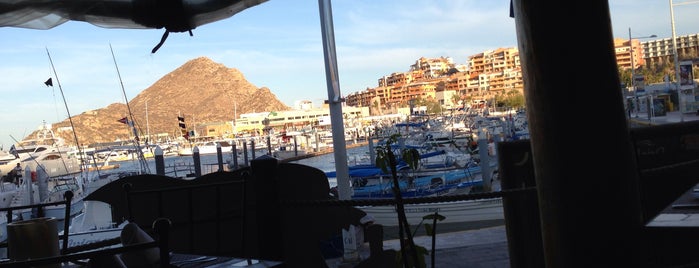 Solomon's Landing Los Cabos is one of Cabo.