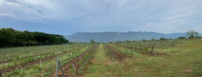 PB Valley Khao Yai Winery is one of Thailand.