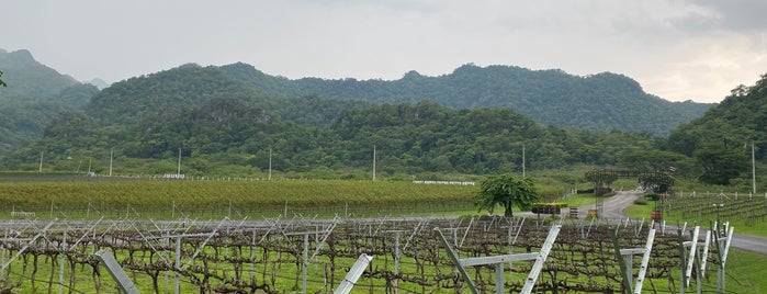 GranMonte Vineyard and Winery is one of Thailand.