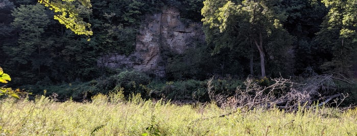 Apple River Canyon State Park is one of Ninah’s Liked Places.
