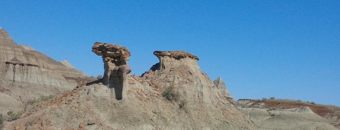 Dinosaur Provincial Park is one of Canada.
