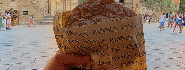 Pannus is one of Barcelona.