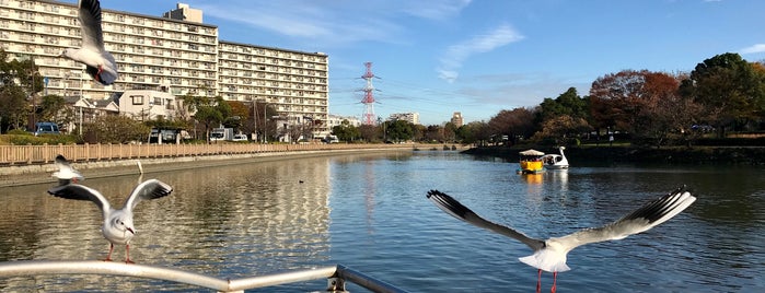 新左近川親水公園 is one of 近隣遊び場.