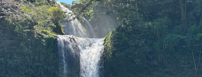 Jion Falls is one of 大分麦焼酎　二階堂　ＣＭロケ地.