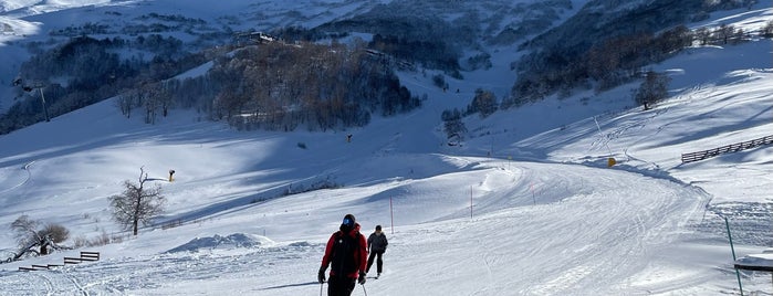Hyland Ski and Snowboard Area is one of a.