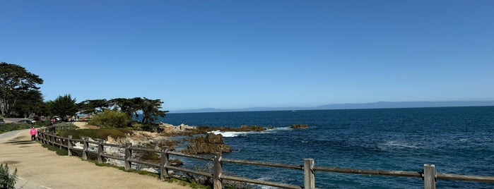 Pacific Grove Recreation Trail is one of Carmel/Monterey.