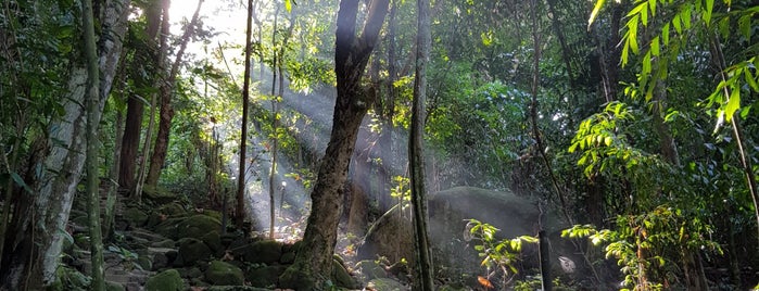 Bukit Jambul Hiking Trail (Top) is one of Wanderlust Checklist.