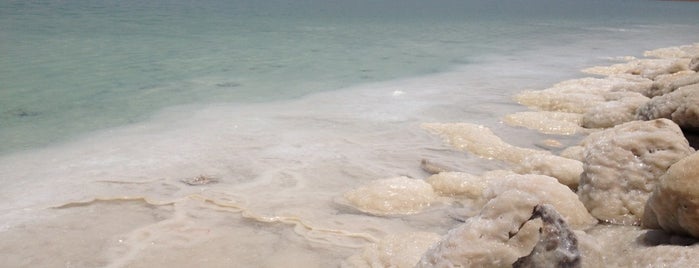 Herods Dead Sea (ex.Leonardo Plaza) is one of Tempat yang Disukai Eka.