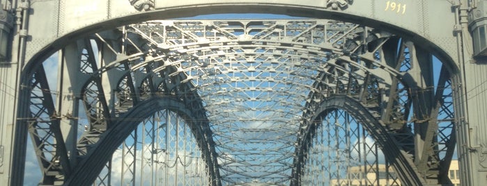 Bolsheokhtinsky Bridge (Peter the Great Bridge) is one of My favorites for Bridges.