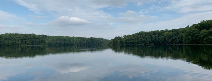Burke Lake is one of favorite park.