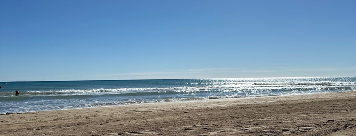Playa El Rebollo / La Marina is one of испания 2016.