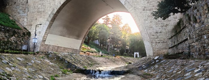 Irgandı Köprüsü is one of Bursa.