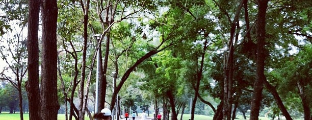 Vachirabenjatas Park (Rot Fai Park) is one of THAILANDIA.