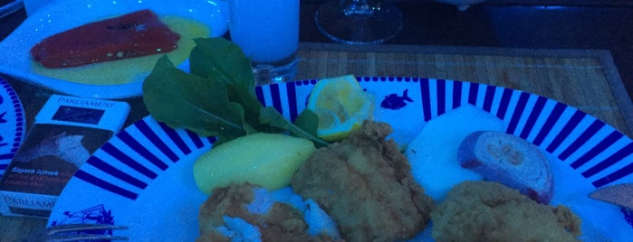Fish food Antalya