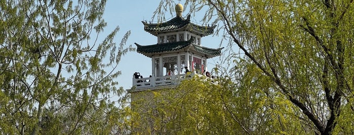 水上公园 Water Park is one of Tianjin to do.