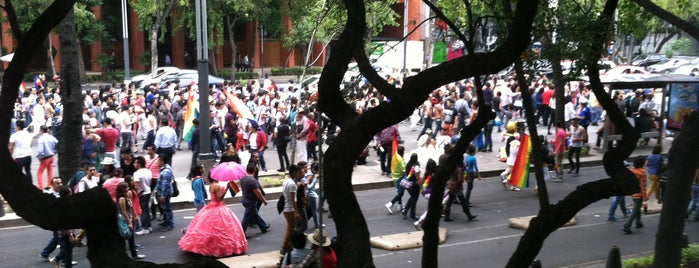El Farolito is one of Mexico City.