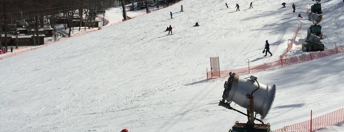 Karuizawa Prince Hotel ski field is one of 滑ったところ.