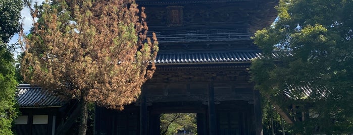 Tokoji Temple is one of Solitude:Get wonderfully lost.