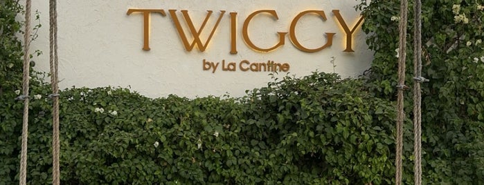 TWIGGY is one of Around the world.