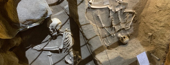 Iron Age Museum Site | سایت موزه عصر آهن is one of Aylaさんの保存済みスポット.