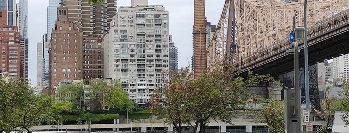 Roosevelt Island is one of Jorge's visit.