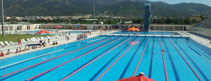 Atatürk Olimpik Yüzme Havuzu is one of Batu'nun Beğendiği Mekanlar.