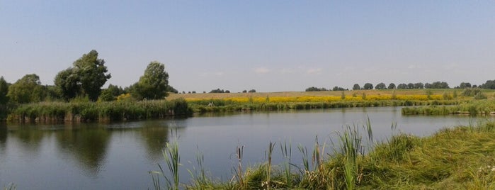 Озеро Черча is one of สถานที่ที่ Y ถูกใจ.