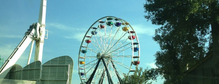 Blue Bayou Water Park is one of RF's Southern Comfort.