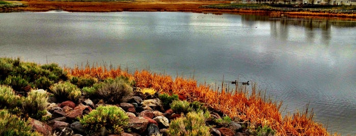 Damonte Ranch Wetlands is one of Beautiful "Bucket List" Places.