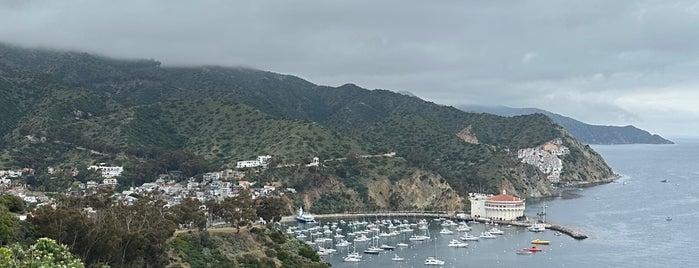 Catalina Island Express is one of 行 业次等同批判令.