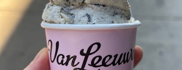 Van Leeuwen Ice Cream is one of NY vegan.
