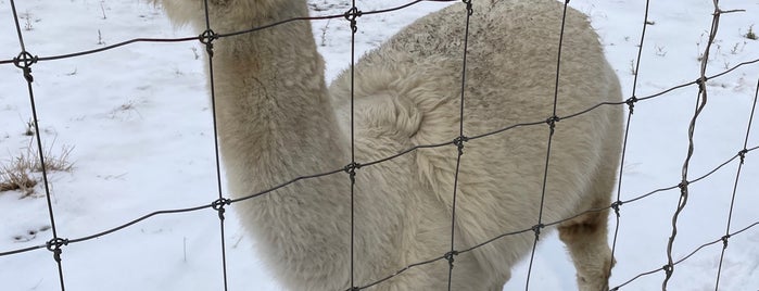 Nasu Alpaca Farm is one of 栃木.